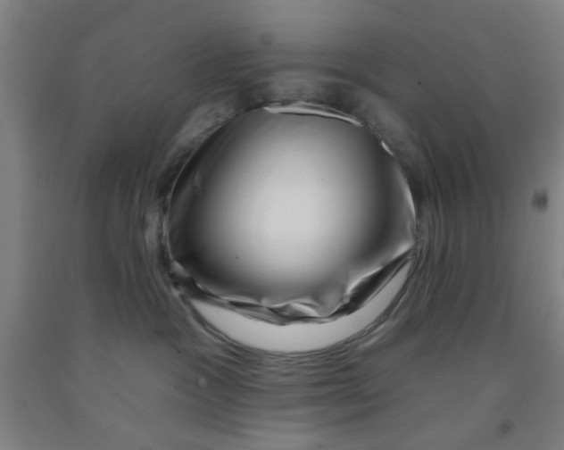 X0000091950333200709271331