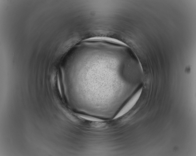 X0000091950334200709271331