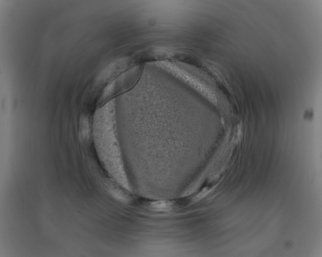 X0000091950335200709271331