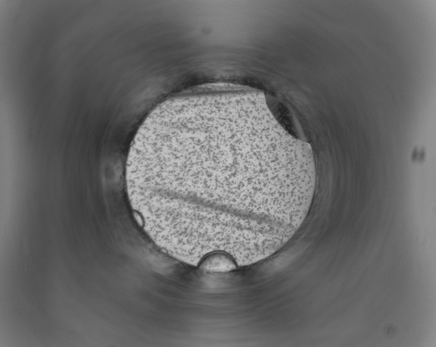 X0000091950336200709271330