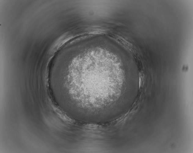 X0000091950339200709271330