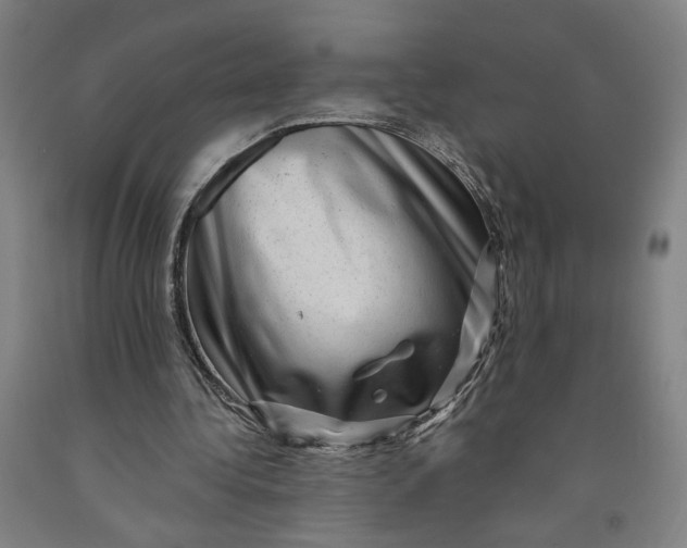 X0000091950340200709271330