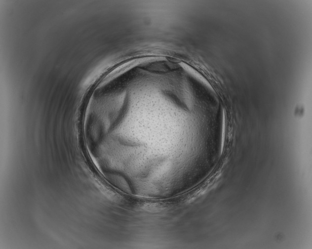 X0000091950341200709271330