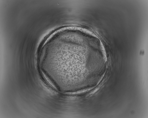 X0000091950342200709271330