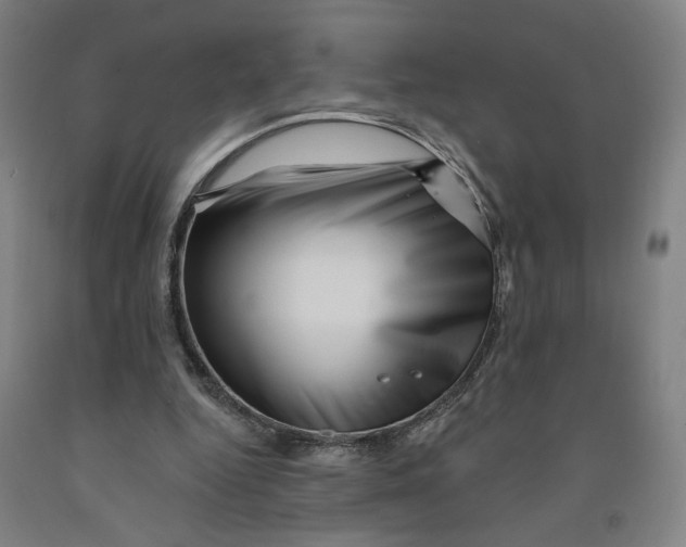 X0000091950344200709271330