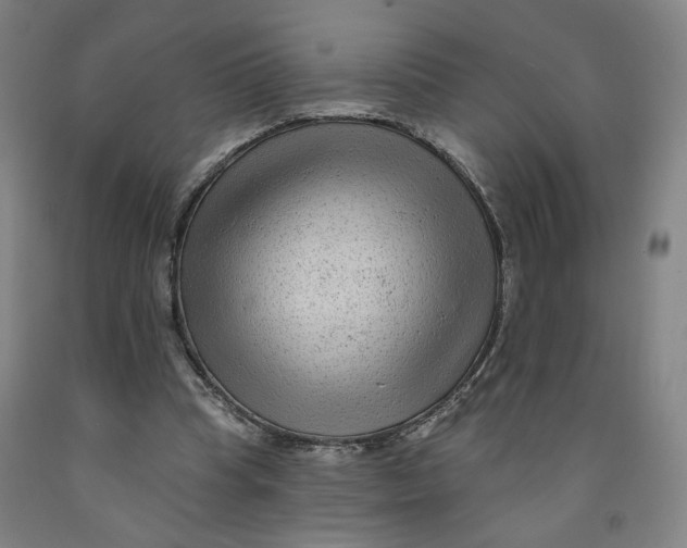 X0000091950345200709271330