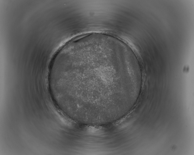 X0000091950346200709271330