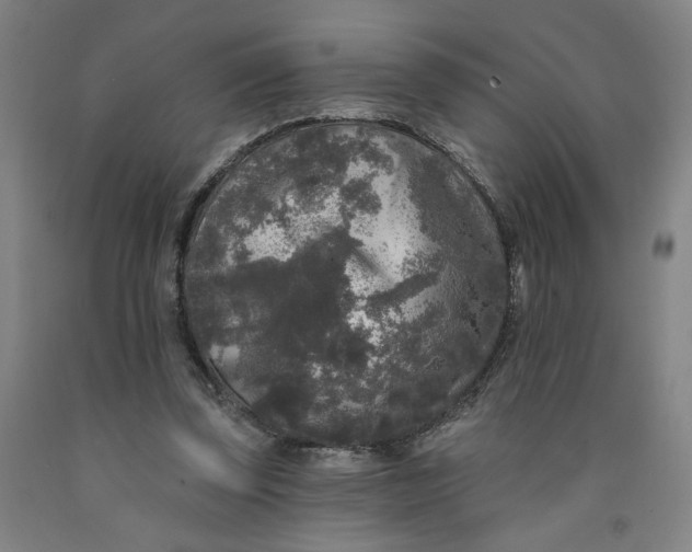 X0000091950347200709271330