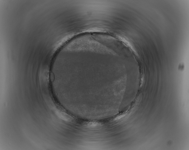 X0000091950348200709271330