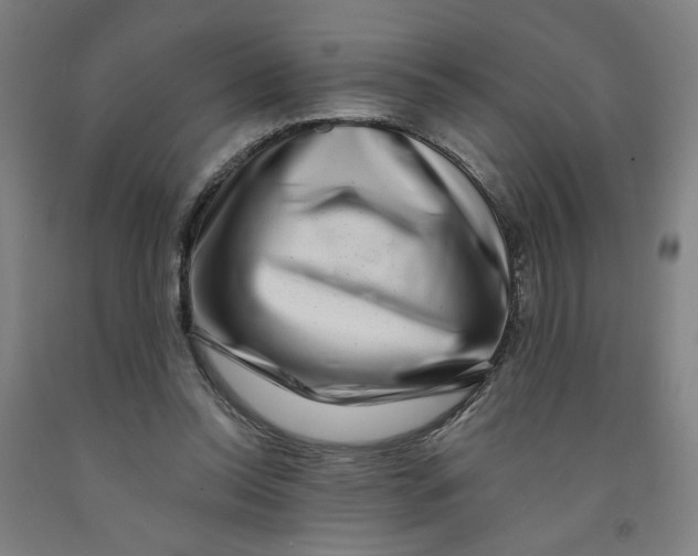 X0000091950350200709271330