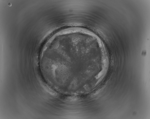 X0000091950351200709271330