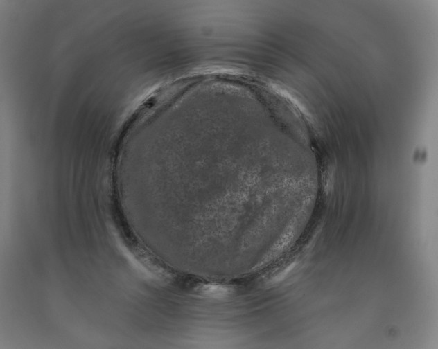 X0000091950352200709271330