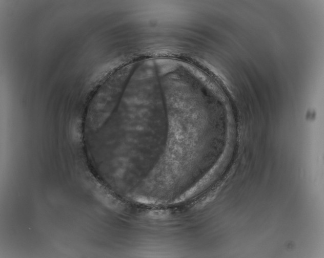 X0000091950353200709271330