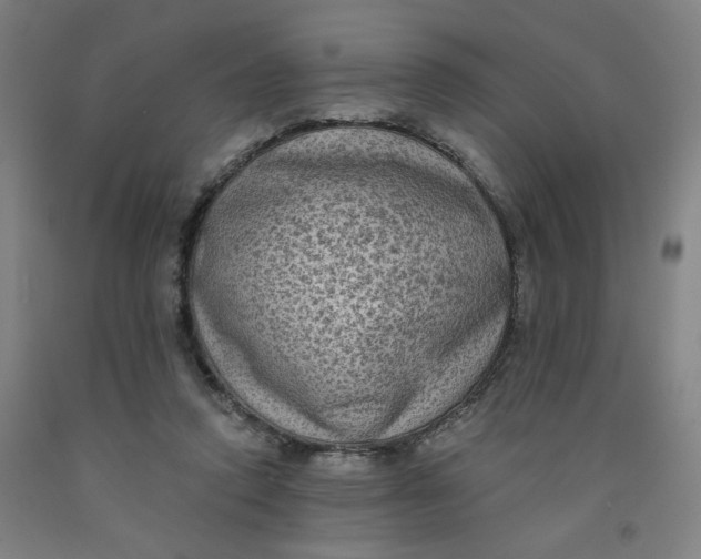 X0000091950354200709271330