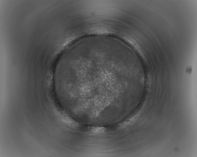 X0000091950355200709271330