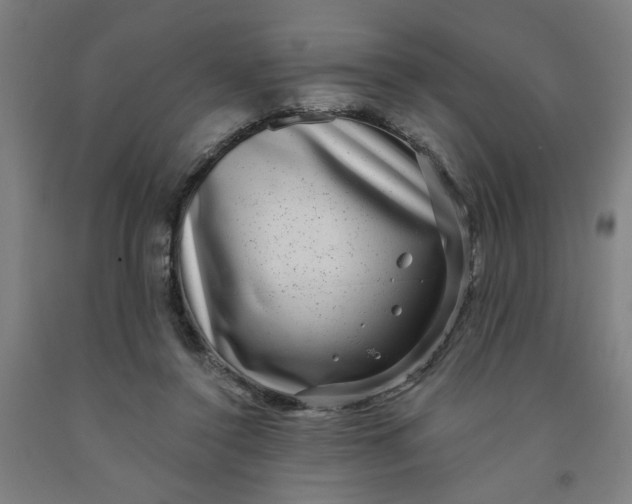 X0000091950356200709271330