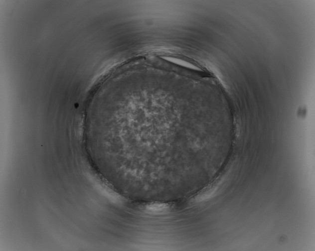 X0000091950357200709271330