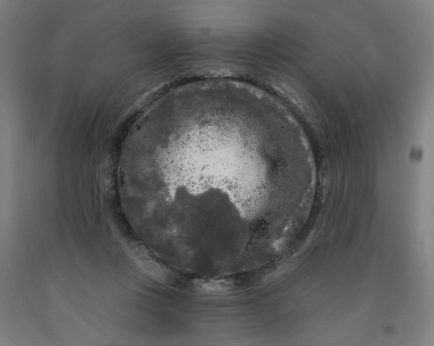 X0000091950359200709271330