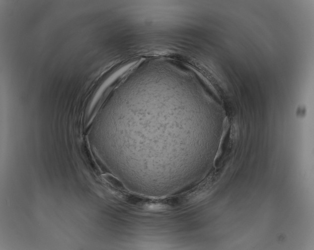 X0000091950360200709271330