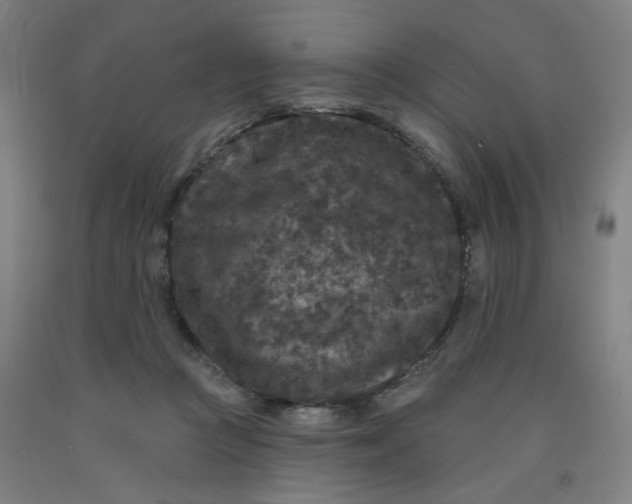 X0000091950361200709271330