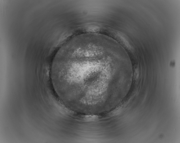 X0000091950363200709271330