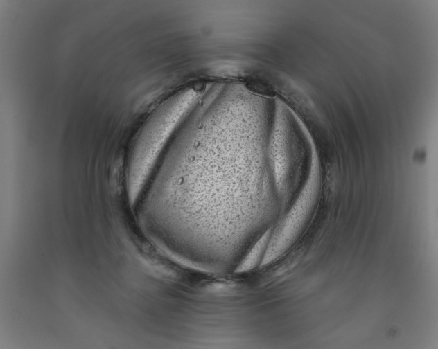 X0000091950364200709271330