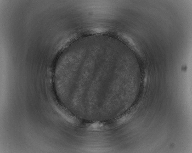 X0000091950366200709271330