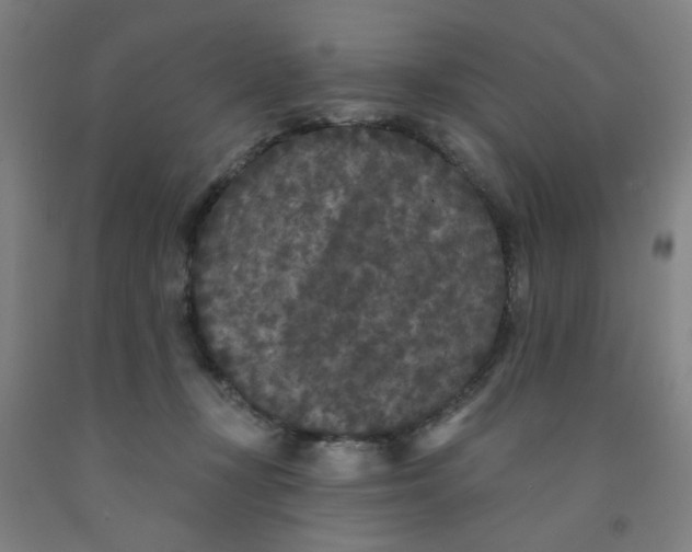 X0000091950367200709271330