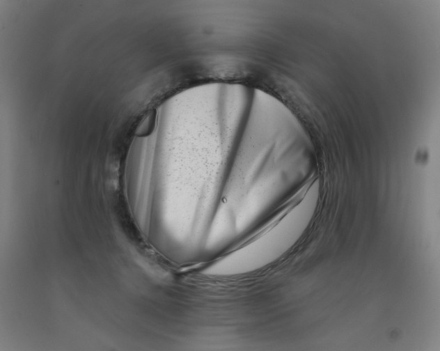 X0000091950368200709271330