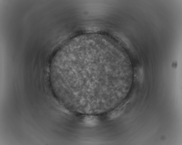 X0000091950369200709271330