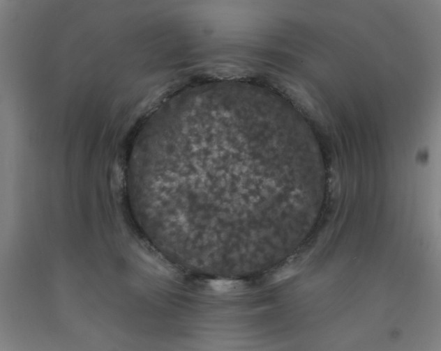 X0000091950371200709271330