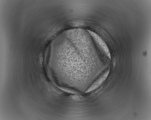 X0000091950372200709271330