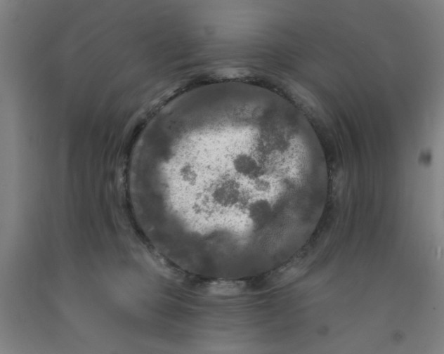 X0000091950373200709271330