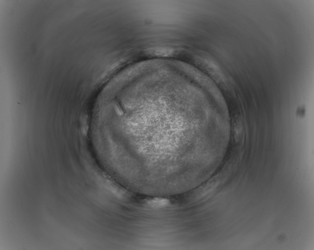 X0000091950374200709271330