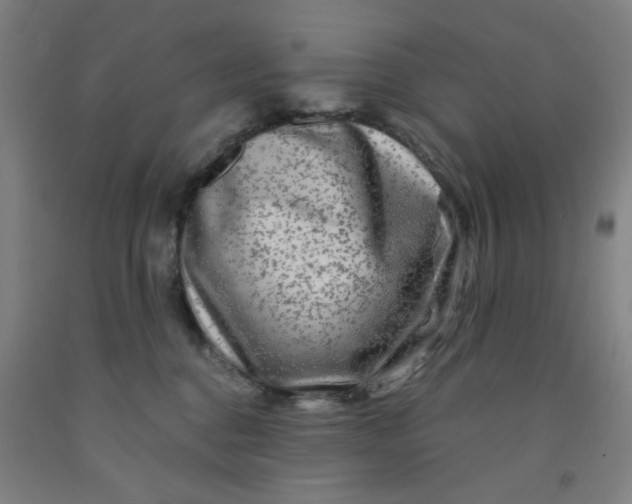 X0000091950376200709271330