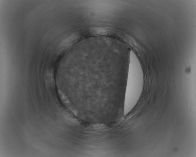 X0000091950377200709271330