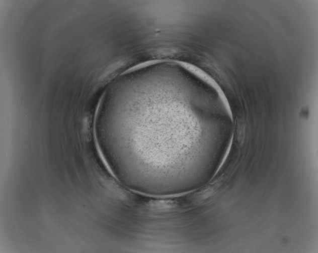 X0000091950378200709271330