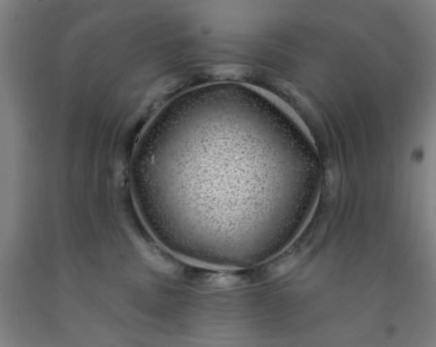 X0000091950379200709271330