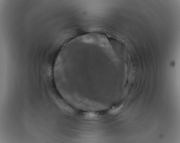 X0000091950380200709271330