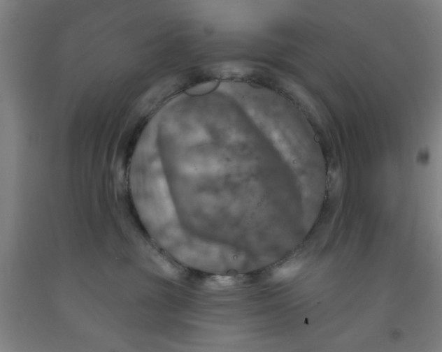 X0000091950381200709271330