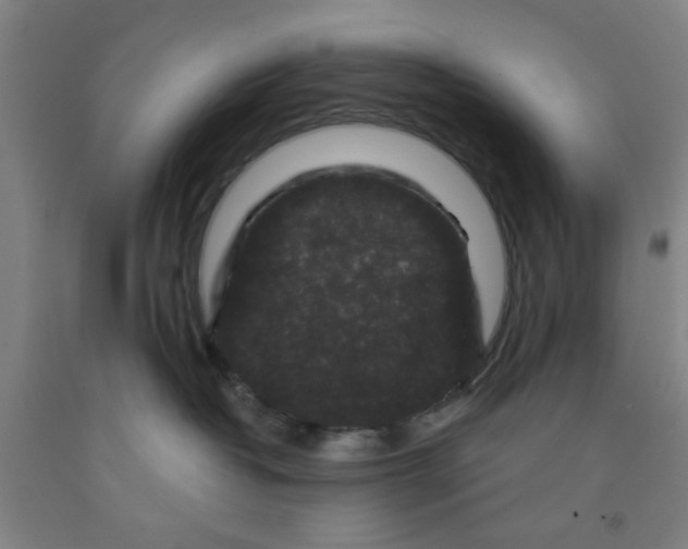 X0000091950382200709271330