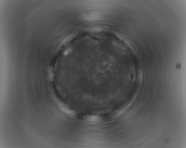 X0000091950383200709271330