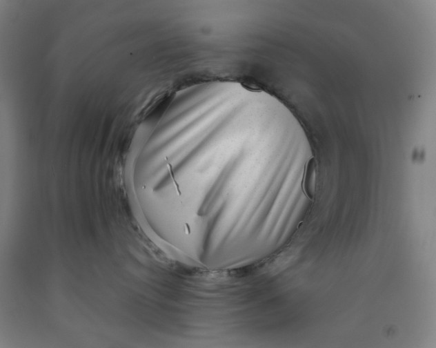 X0000091950384200709271330