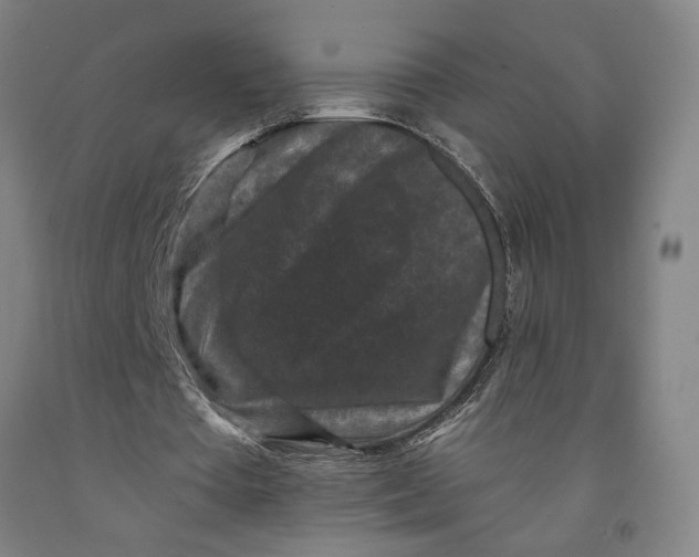 X0000091950385200709271330