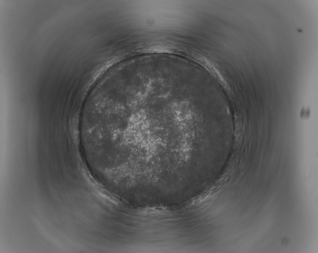 X0000091950386200709271330