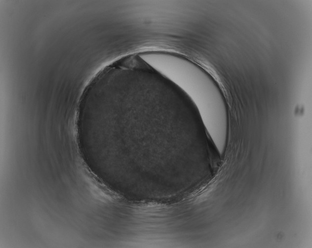 X0000091950387200709271330