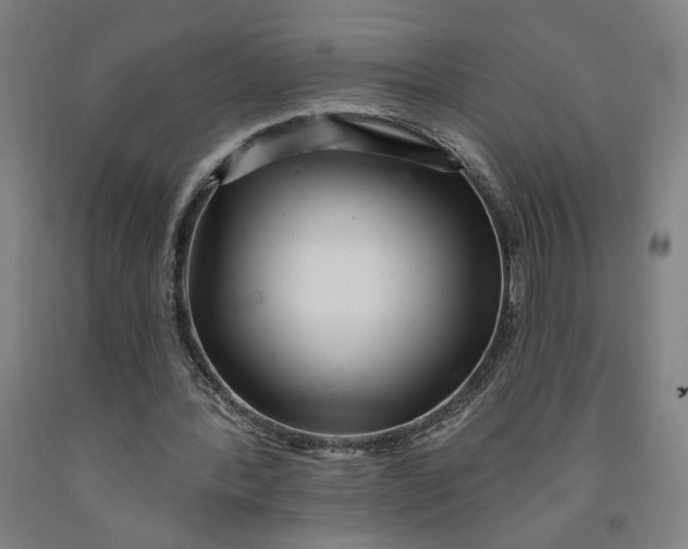 X0000091950388200709271330