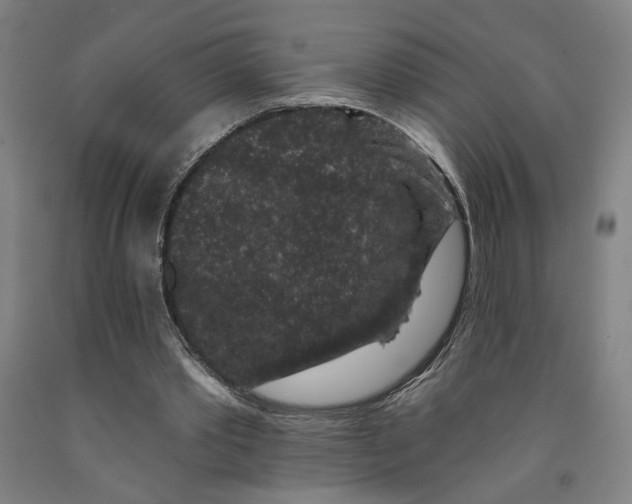 X0000091950389200709271330