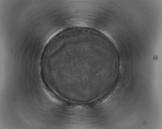 X0000091950390200709271330