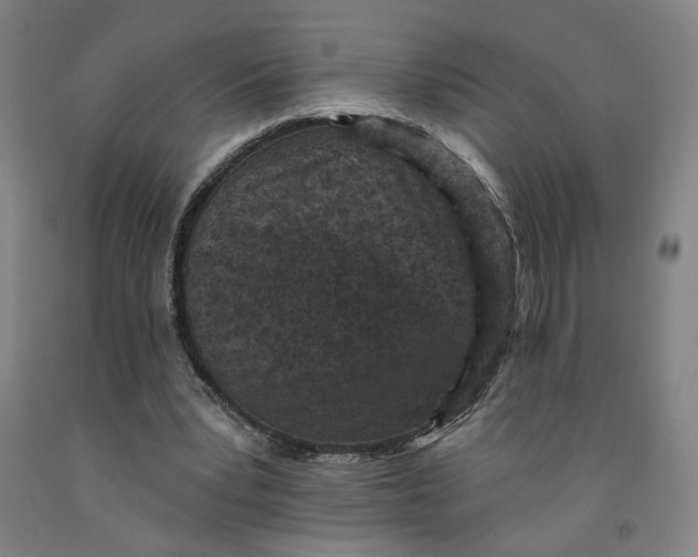 X0000091950391200709271330